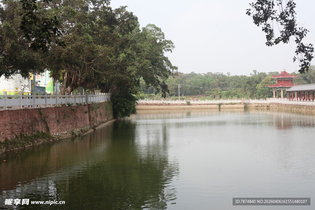 湛江宁静河畔风光
