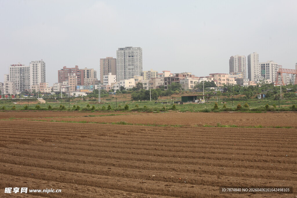 湛江城郊农田与远处高楼景观