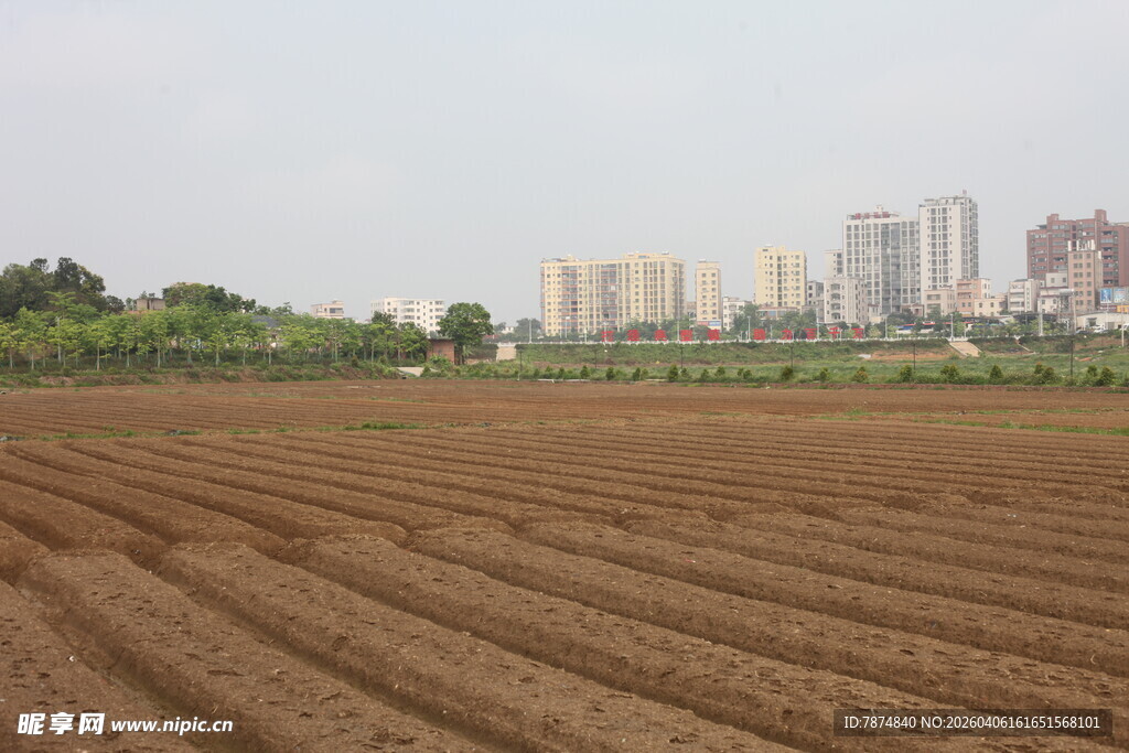 湛江城郊农田与远处高楼景观