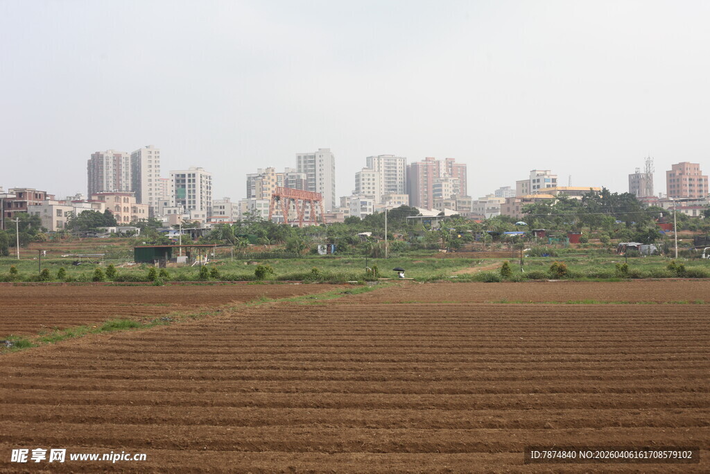 湛江城市边的农田风光