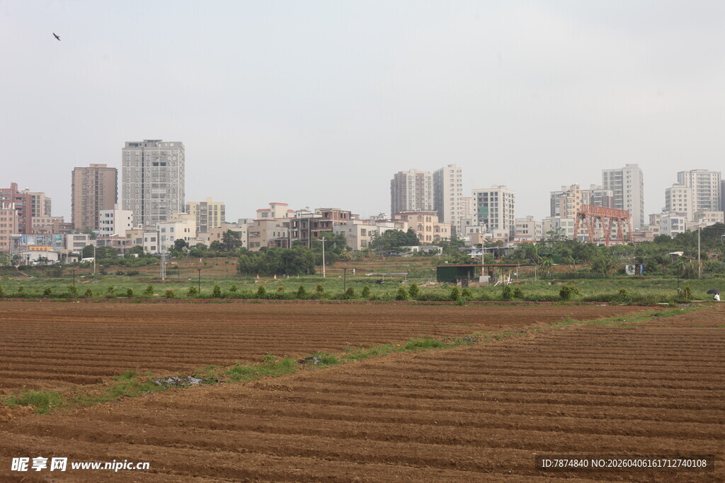 湛江城市边的农田景观
