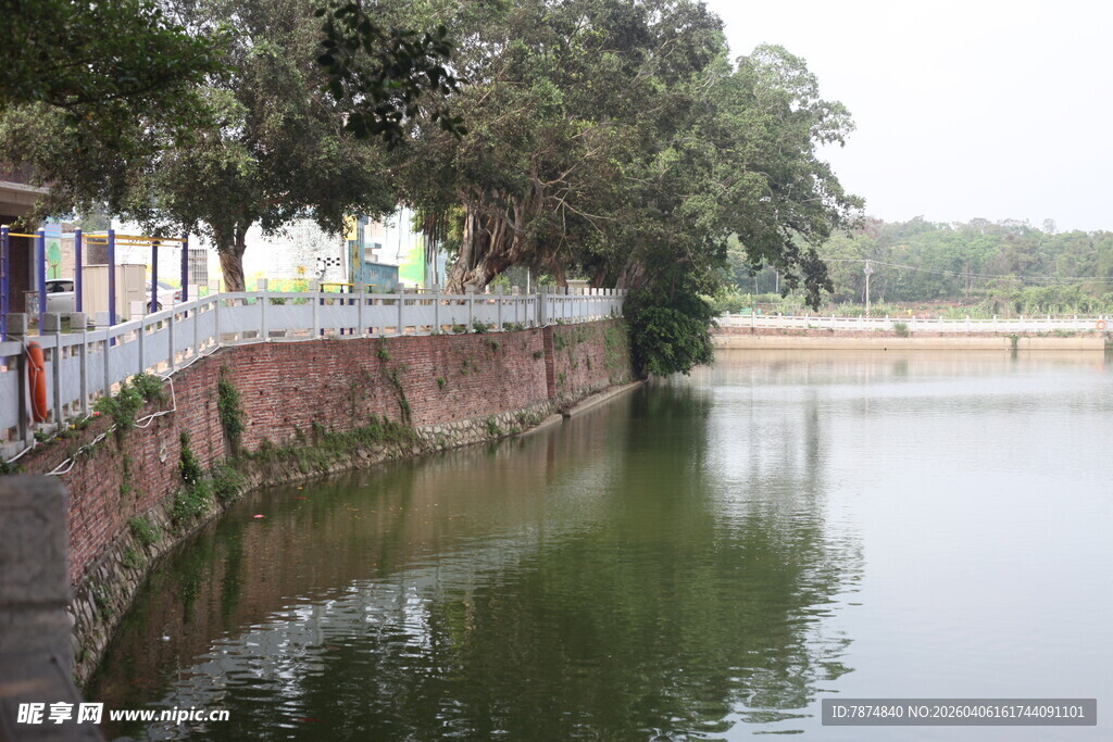 湛江河畔绿树环绕的宁静景象