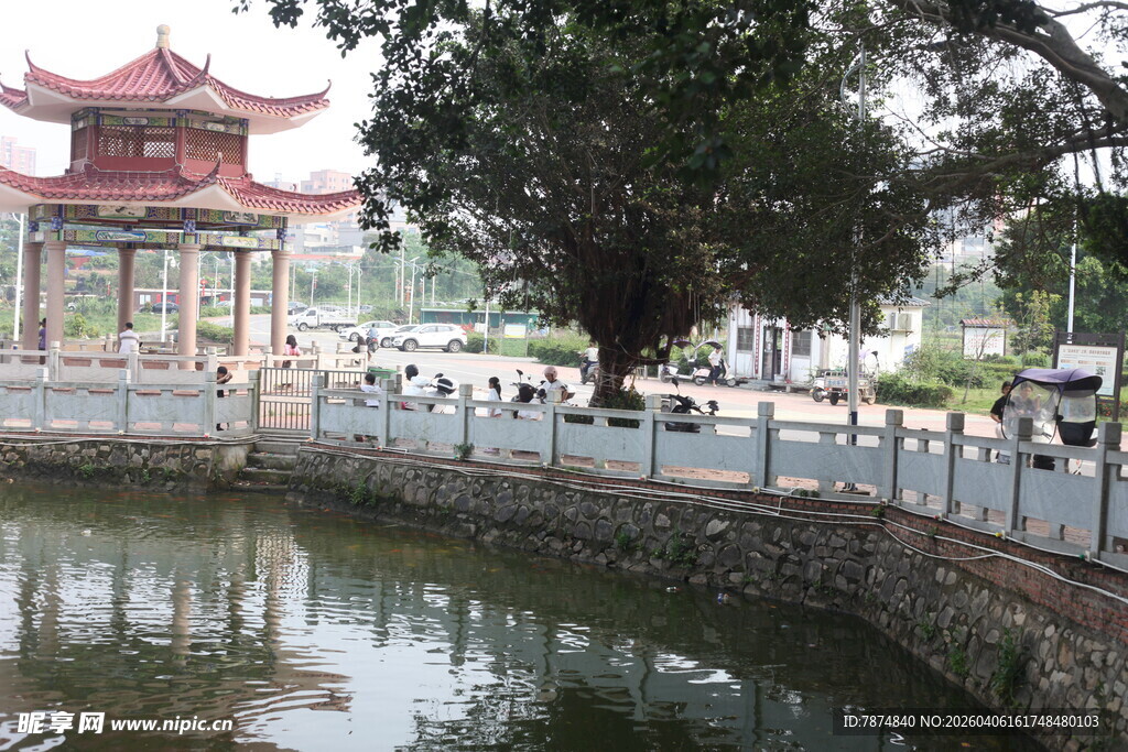 湛江中式亭阁旁的水边景致
