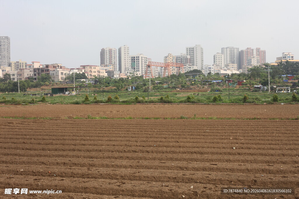 湛江城郊田野与远处高楼景象