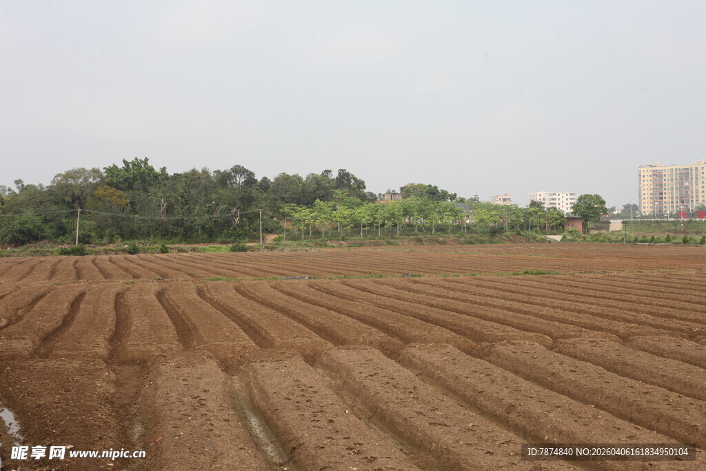 湛江田野耕地景象