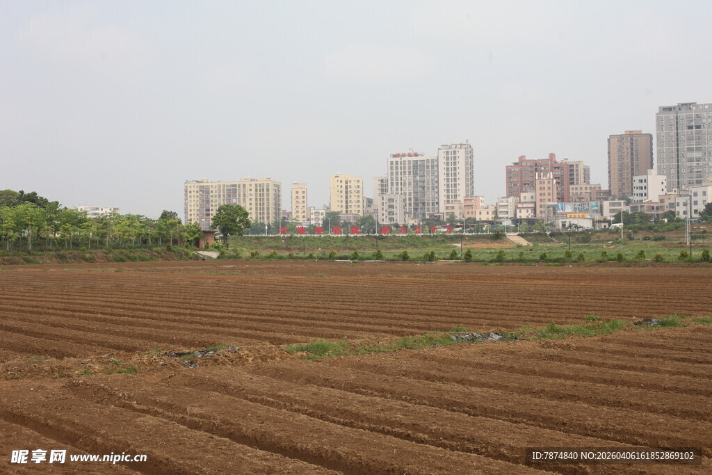 湛江城郊农田与远处高楼景观