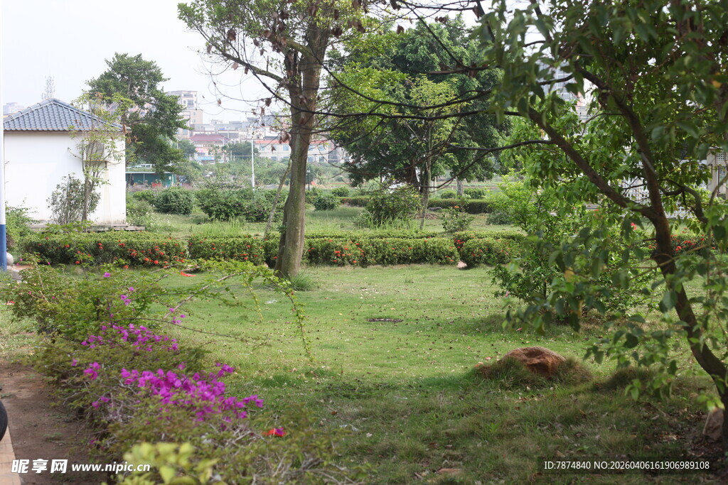 湛江美丽庭院绿植花卉景观