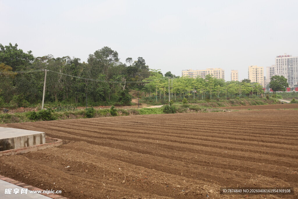 湛江农田耕地景象