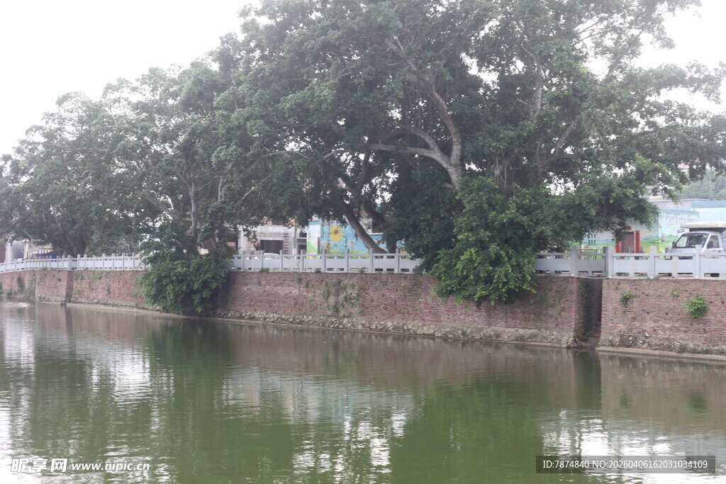 湛江河边绿树环绕的静谧水景