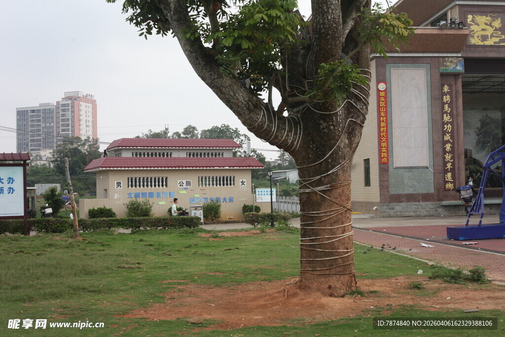 湛江庭院绿树与建筑景观