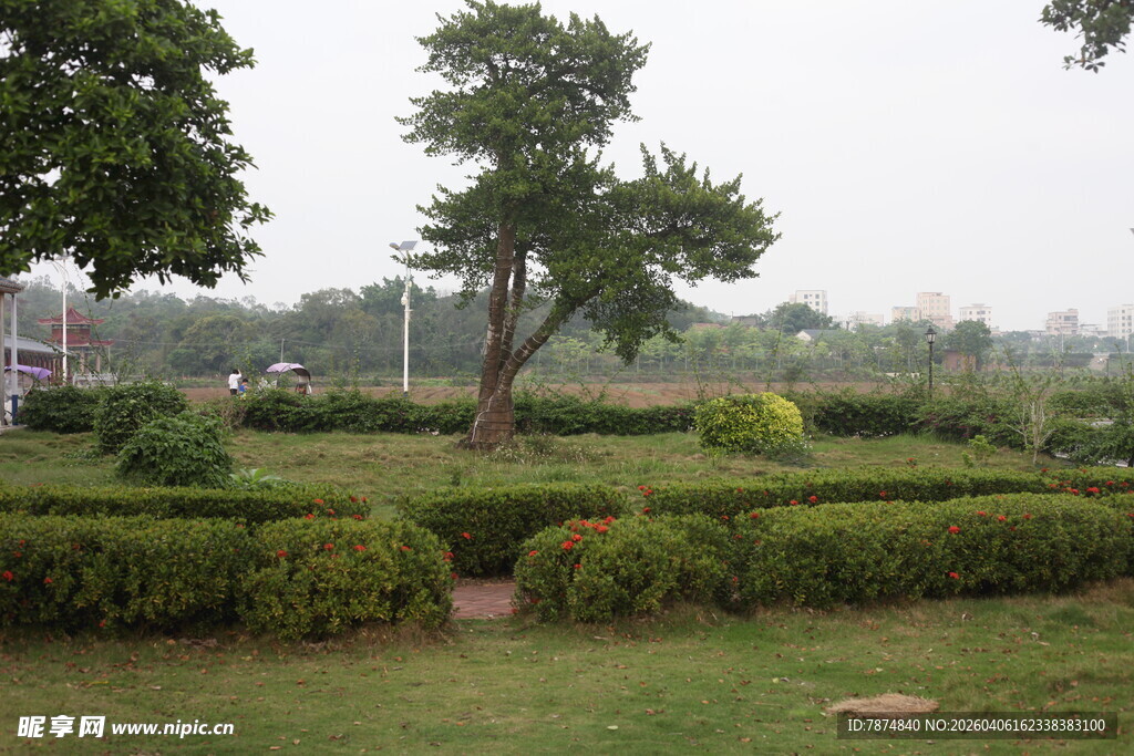 湛江园林景观中的绿植与小径