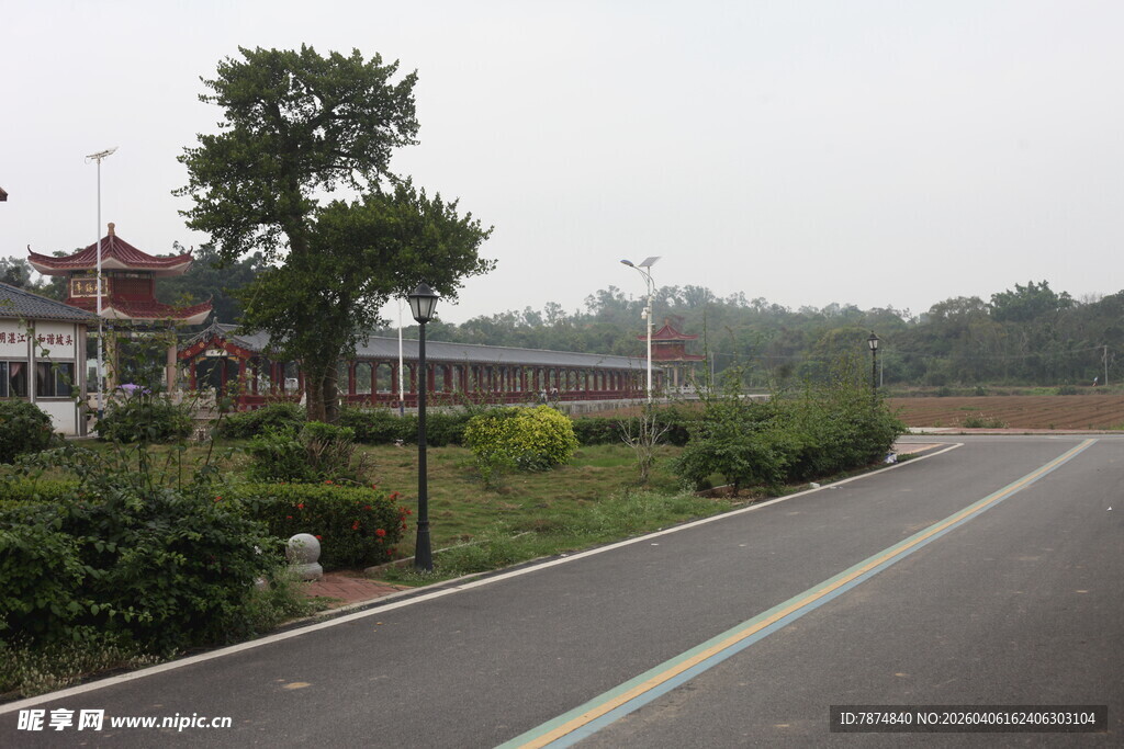 湛江乡村公路旁的宁静景致
