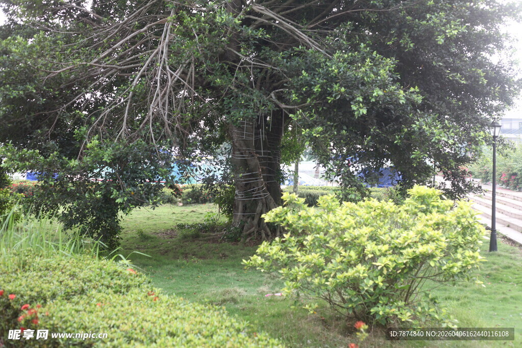 湛江绿意盎然的户外园林景观