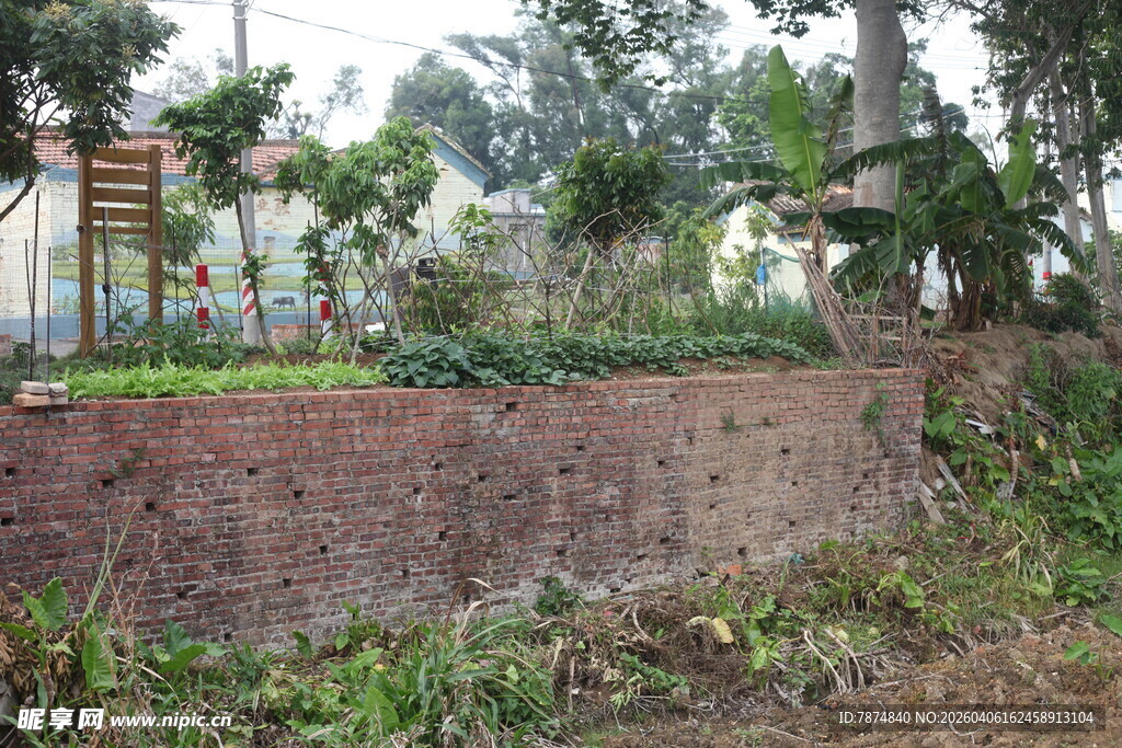 湛江庭院绿植环绕的红砖墙