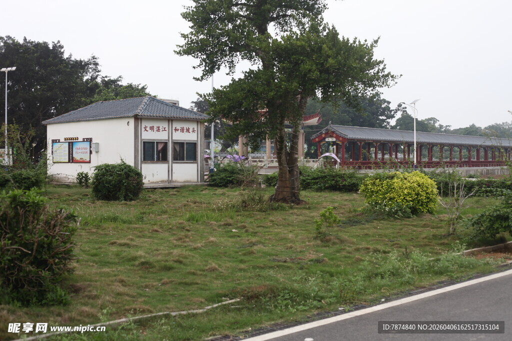 湛江乡村路旁的房屋与绿植