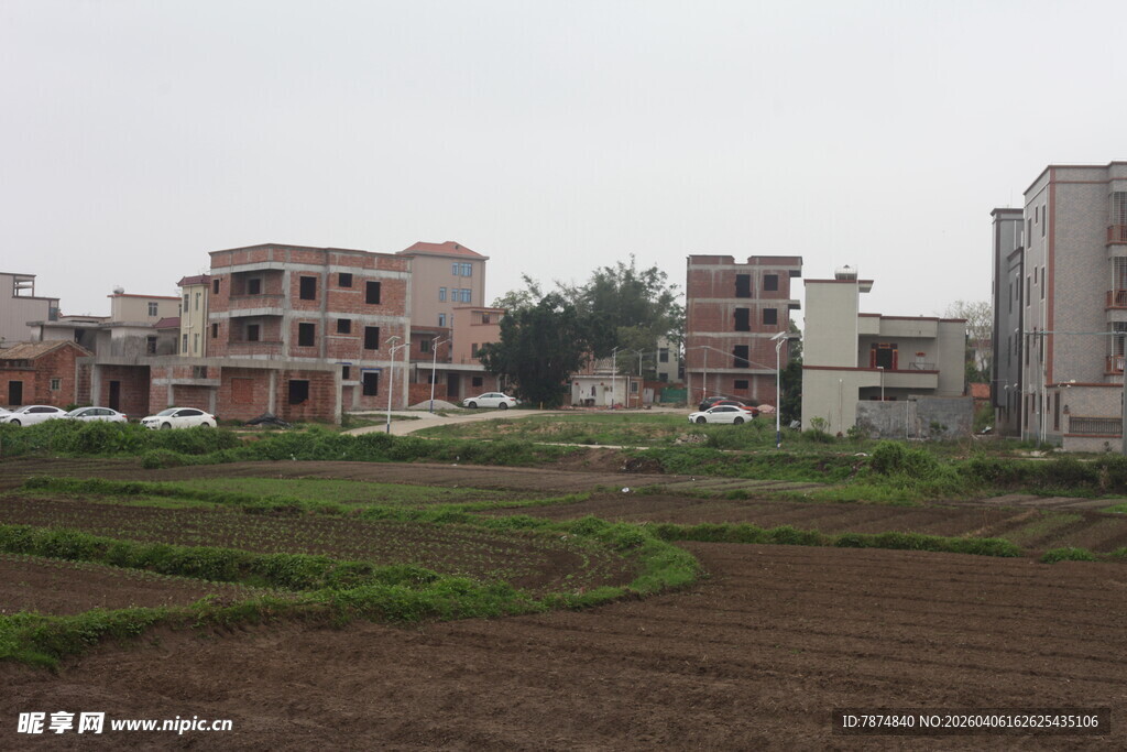 湛江城郊农田旁的错落建筑