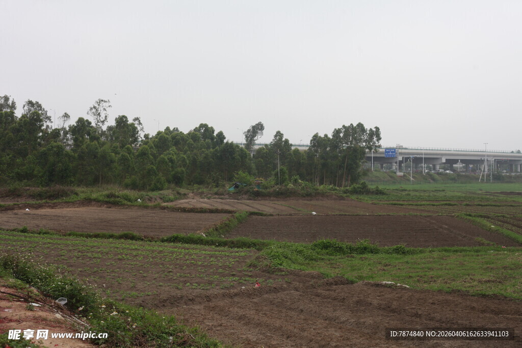 湛江乡村田野风光景色