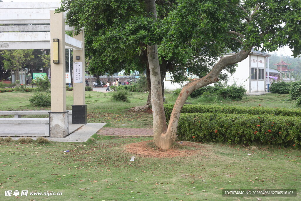 湛江公园内的绿树与休憩凉亭