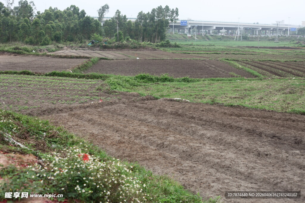 湛江乡村田野风光