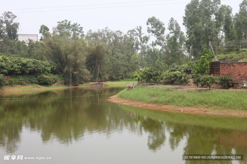 湛江宁静乡村河畔风光