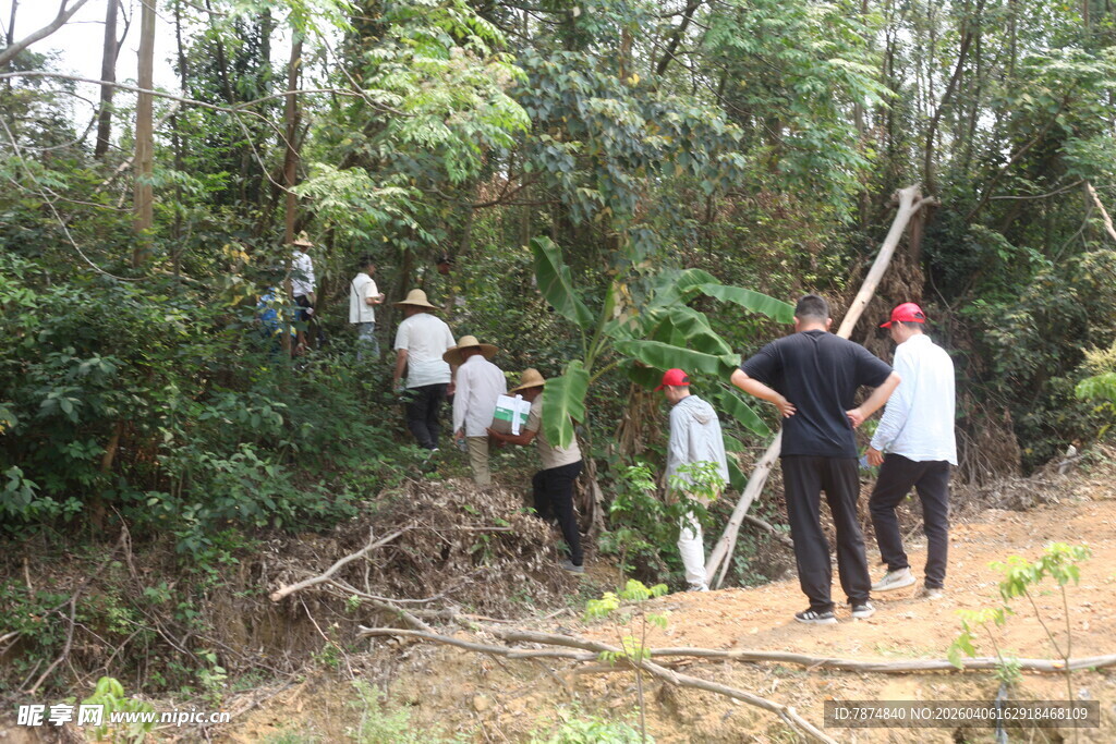 湛江众人林间开展植树活动