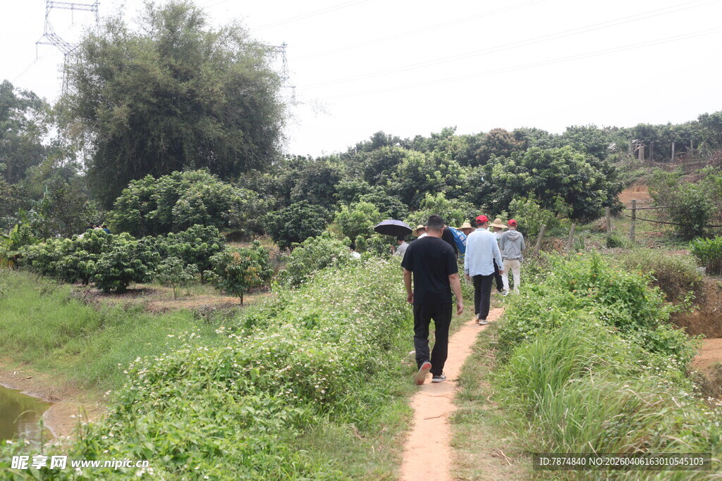 山间小径上的徒步人群