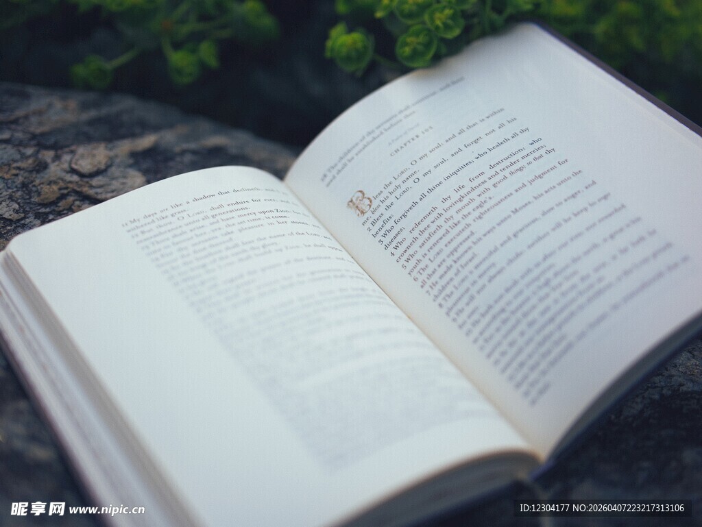 翻开的书页与绿意相伴