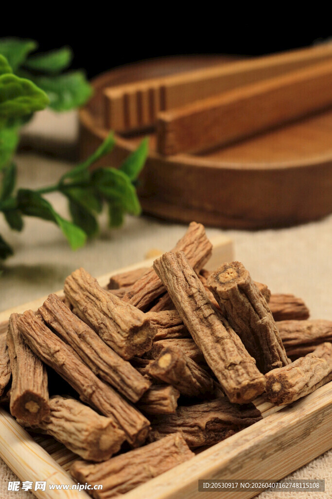 党参传统中药中医养生滋补高清