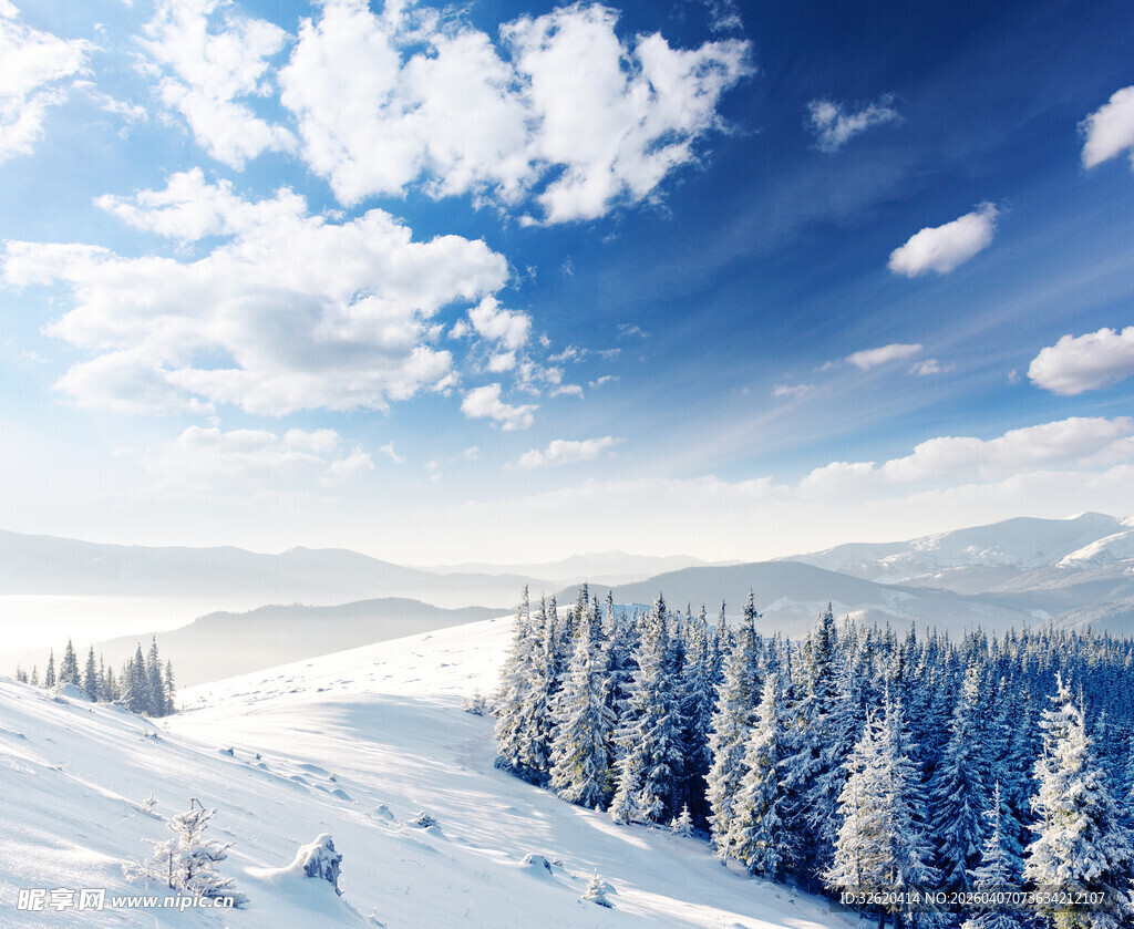 冬日雪覆山林美景
