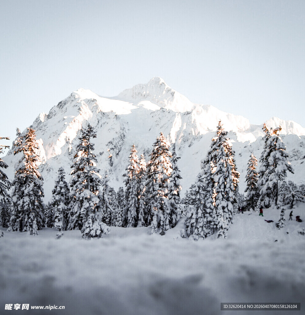 雪覆山林与巍峨雪山景观