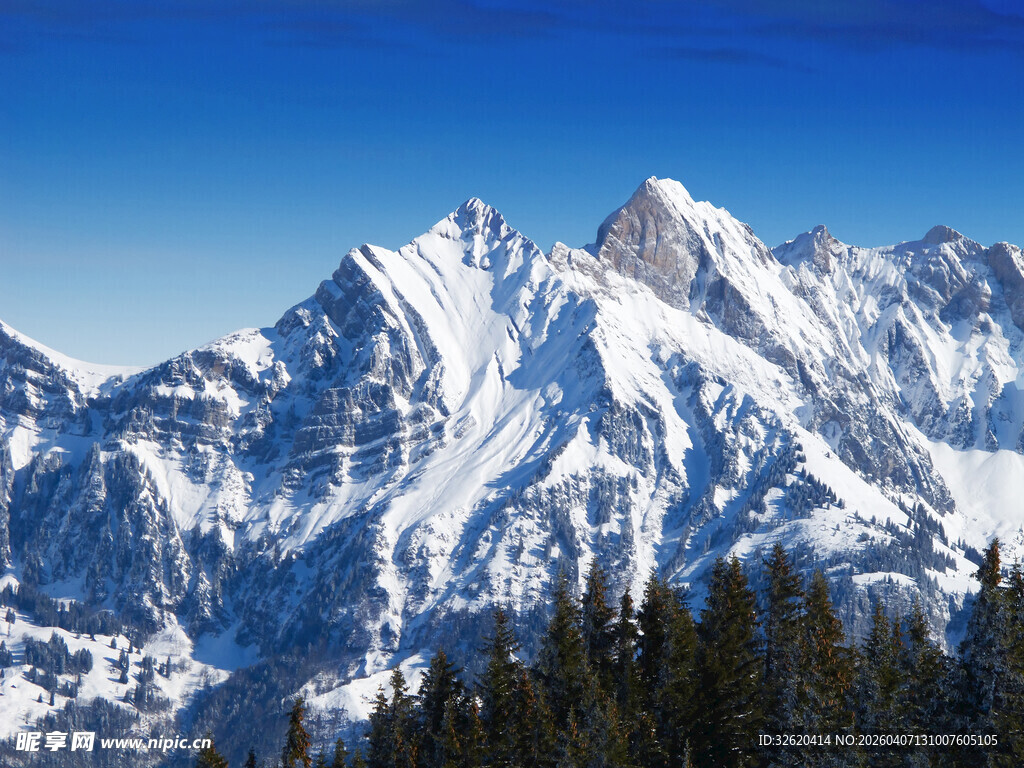 壮丽雪山与葱郁林木景观
