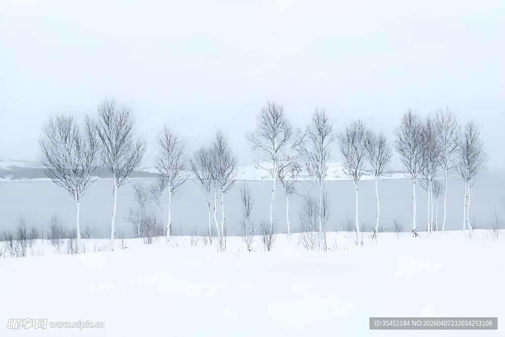 雪景树木