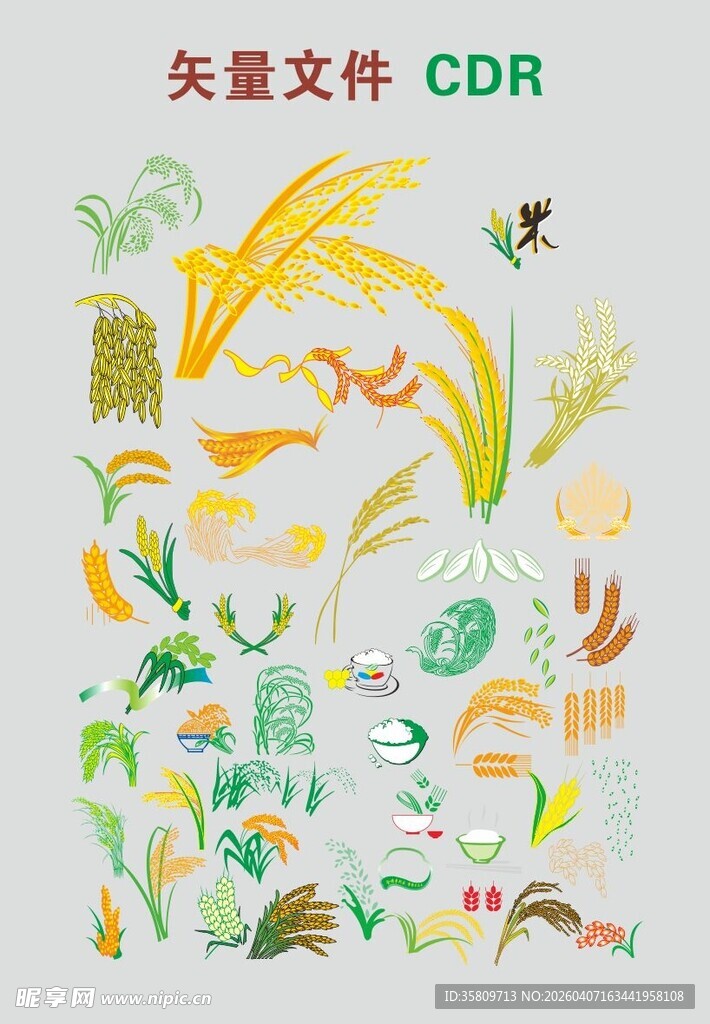 稻穗花纹矢量植物插画图案