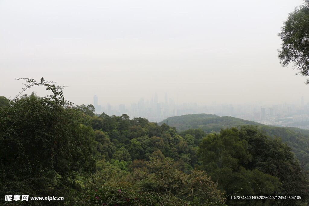 山林景观 绿意盎然