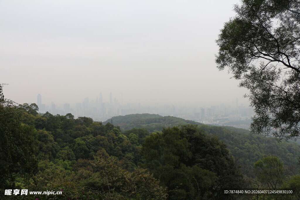 山林远景 绿意盎然