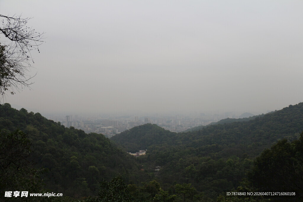 山间雾景 绿意盎然