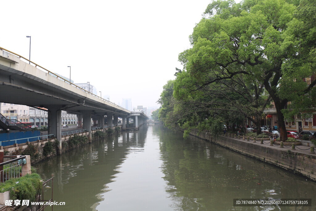 河畔高架桥与繁茂绿树景观