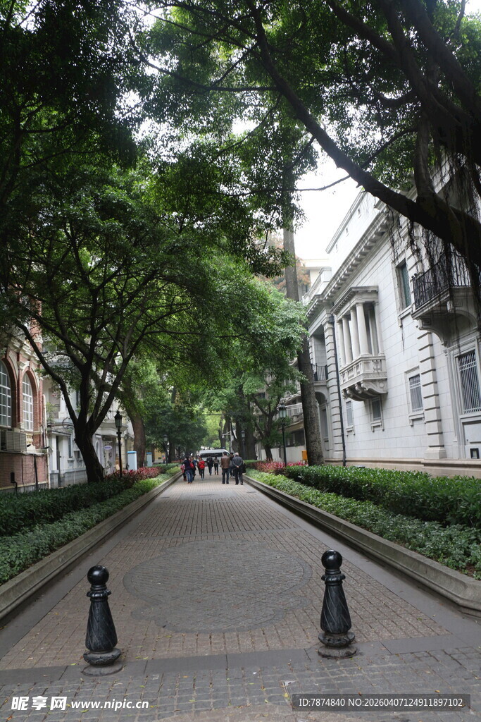 林荫街道 宁静的城市景致