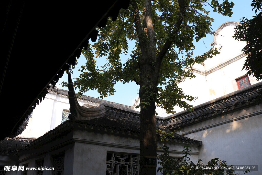 中式建筑旁的葱郁树木