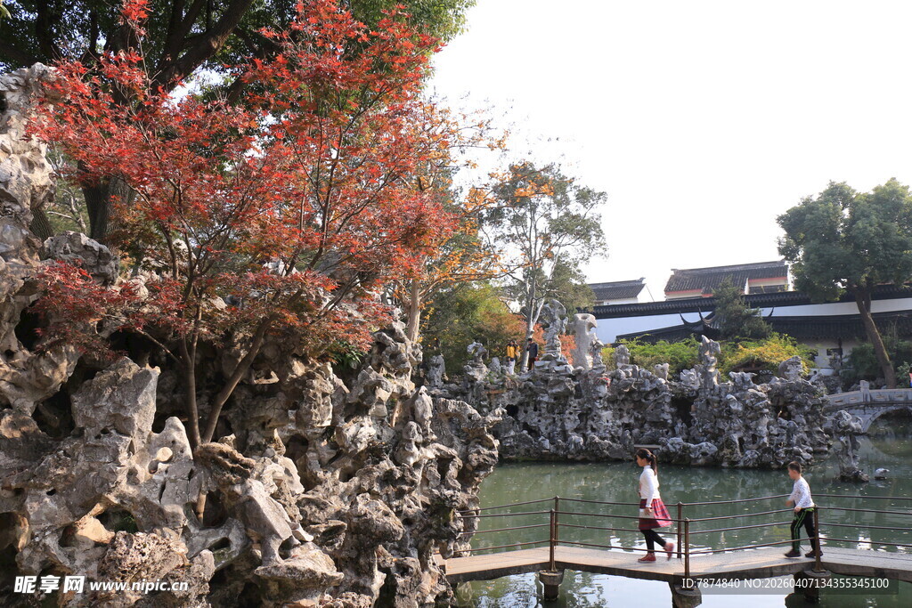 园林假山旁的秋日景致