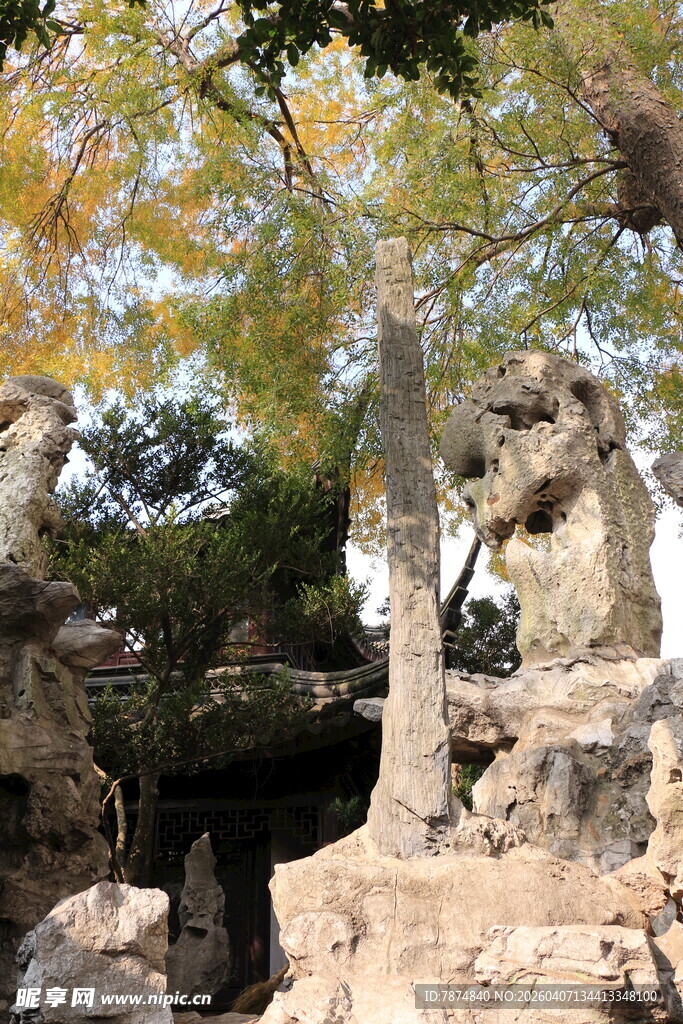 园林假山与树木景观