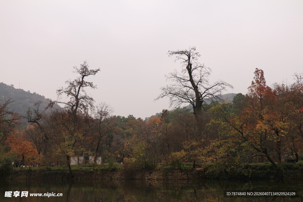秋日湖畔萧瑟树木景观