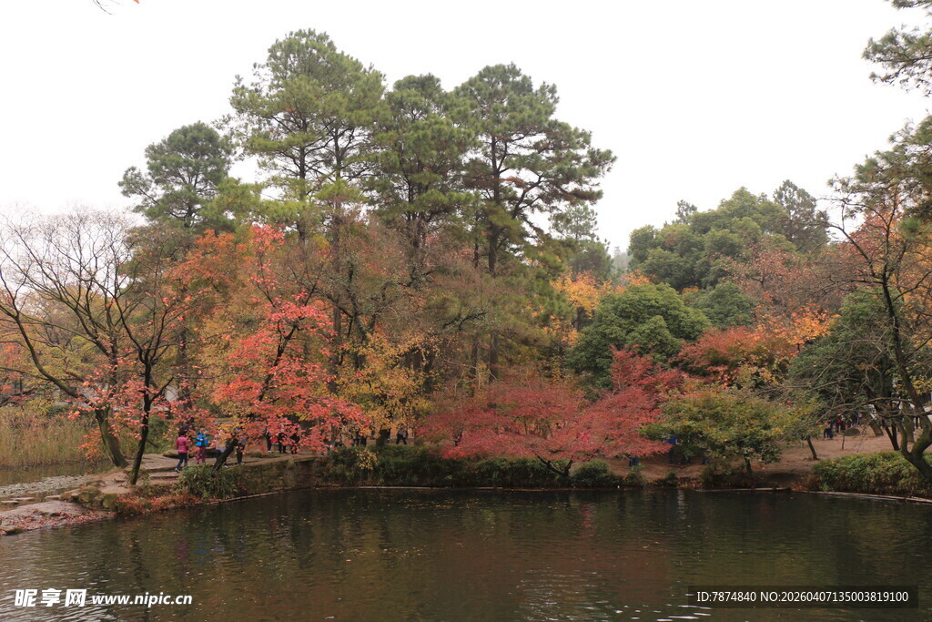 秋日湖畔斑斓树林景色