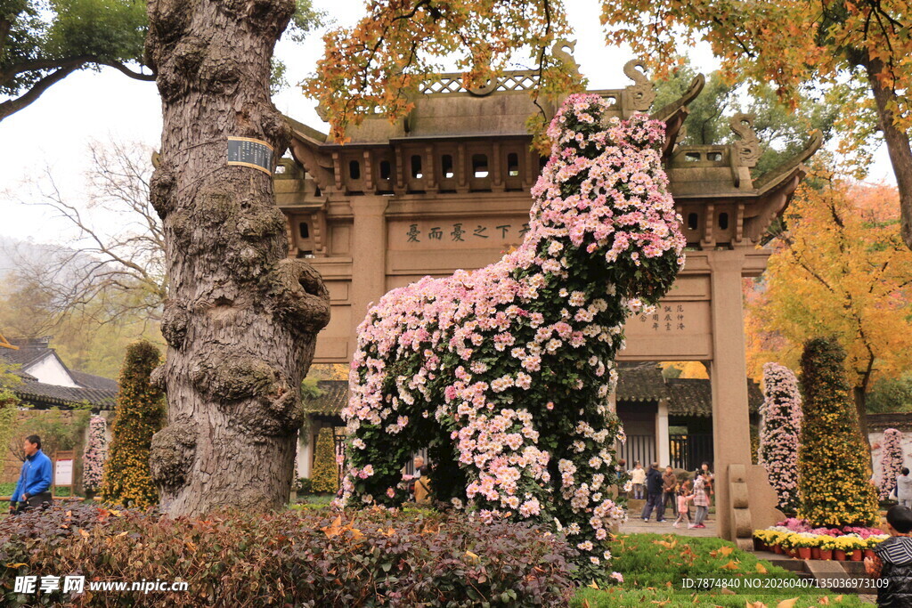 园林中式拱门与开花植物
