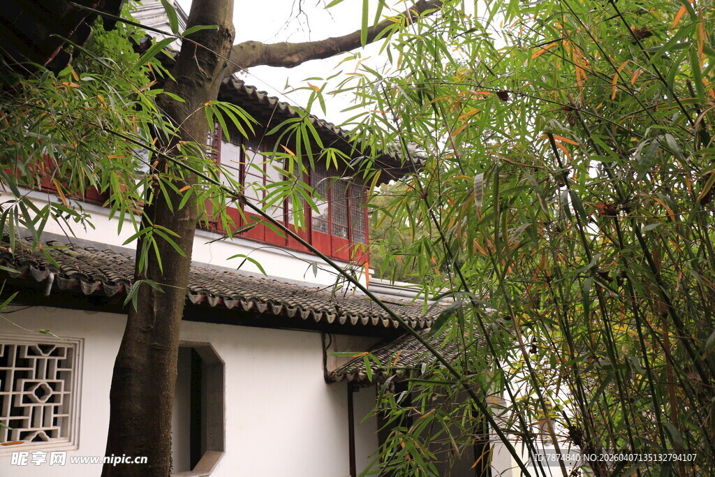 中式庭院中的葱郁绿意