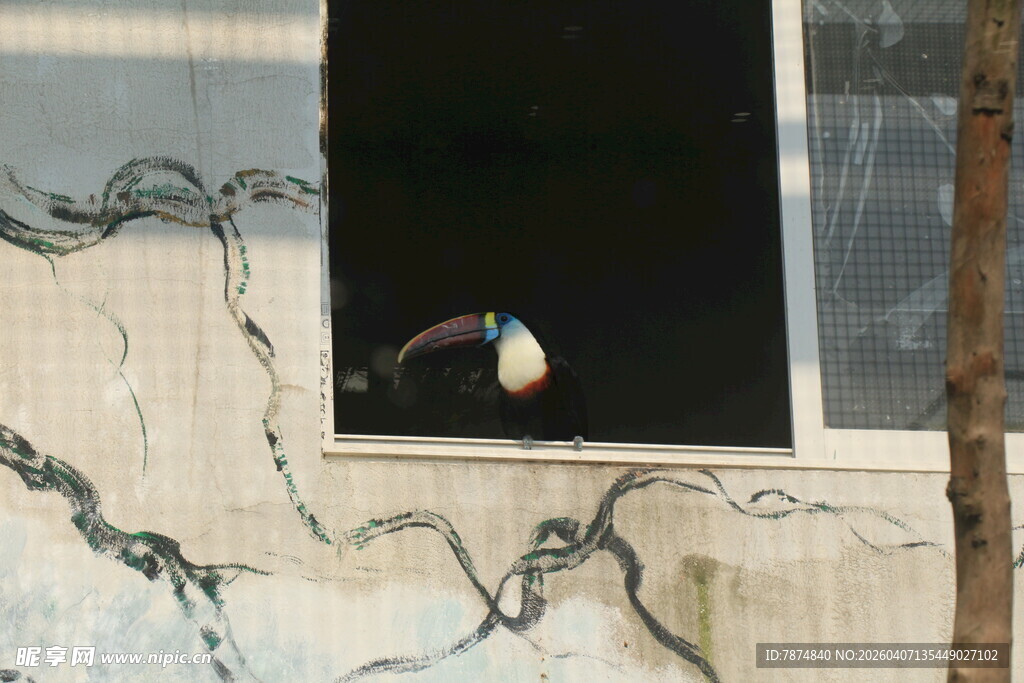 破损窗户上的彩色玻璃碎片