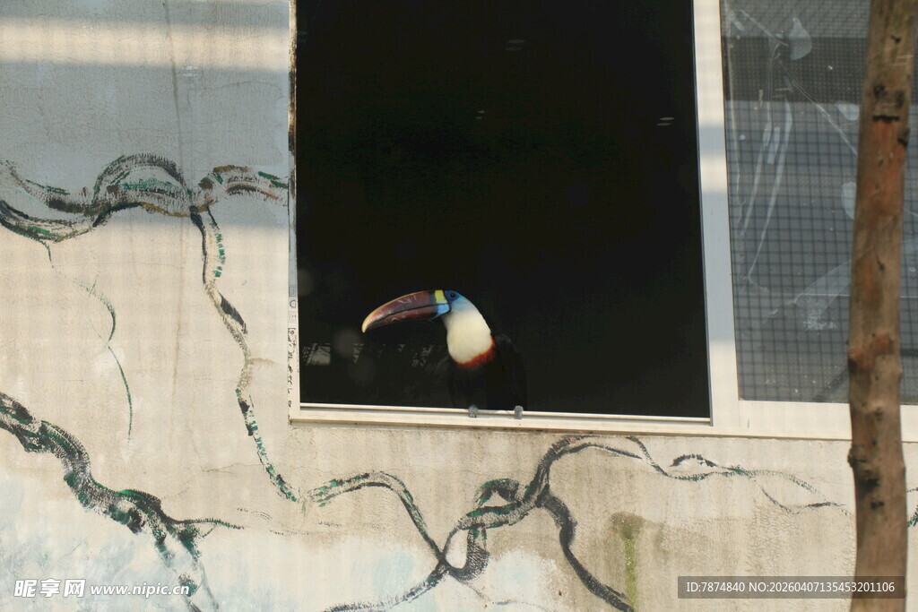 破旧墙面中的小窗景象