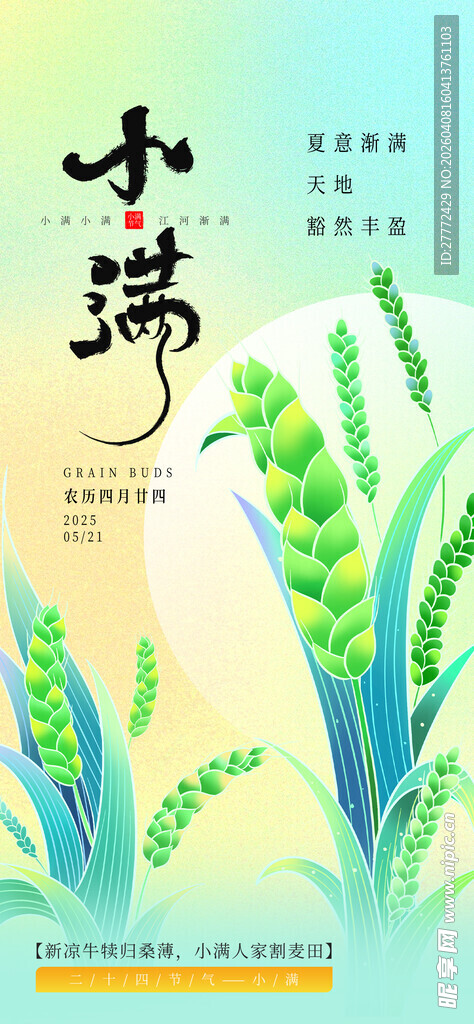 小满时节