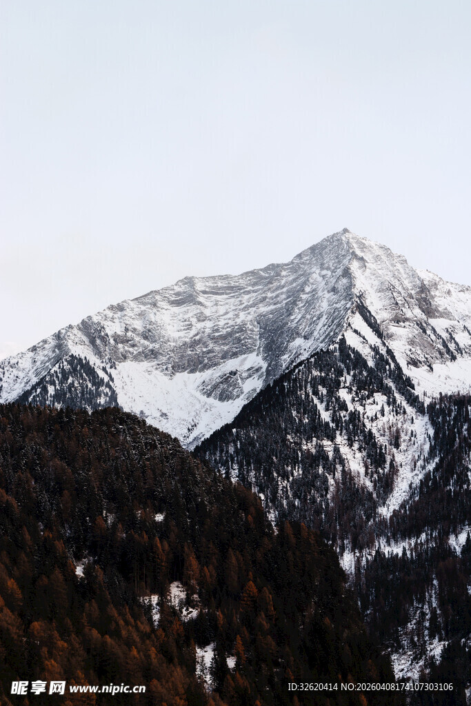 雪山与山林的壮丽景致