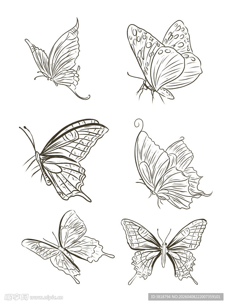 手绘蝴蝶图案集合